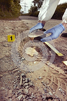 Technician Criminologist preparing tire print left in dust of field way for documentation