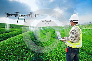 .Technician farmer use wifi computer control agriculture drone fly to sprayed fertilizer on the green tea fields, Smart farm 4.0