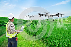 Technician farmer use wifi computer control agriculture drone fly to sprayed fertilizer on the green tea fields, Smart farm 4.0