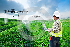 .Technician farmer use wifi computer control agriculture drone fly to sprayed fertilizer on the green tea fields, Smart farm 4.0 photo