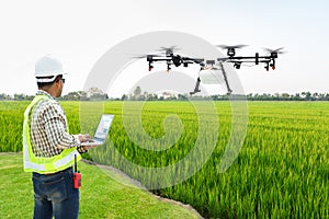 Technician farmer use wifi computer control agriculture drone fly to sprayed fertilizer on the rice fields, Smart farm 4.0 concept