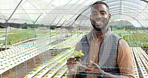 Technician inspecting lettuce seedling inside hydroponic greenhouse with code overlay, copy space
