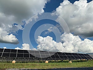 Technician is lifting the solar cell to replace the damaged one, Alternative energy to conserve the world`s energy, Photovoltaic