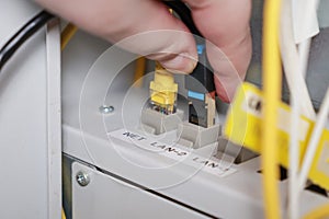 technician plugging ethernet cable into network switch, close-up of internet connection setup, data transfer and technology