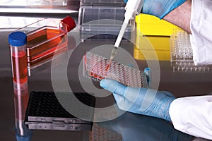 Researcher working with cell cultures under sterile cabinet