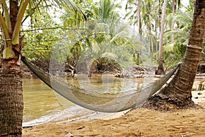 Technicians perfect seaside hammock