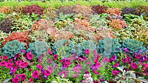 Technicolor Exhibition flowers-Iv