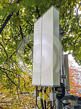 Technological equipment for the organization of mobile communication and Internet, antenna on a tree