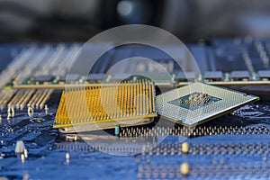 Technology background with computer processors CPU concept blue circuit board texture
