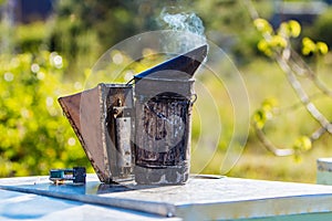 Technology of fumigation of bees. Intoxicating smoke for safe honey production. Old bee smoker. Beekeeping tool.