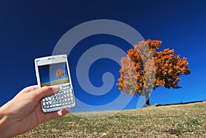 Technology and nature