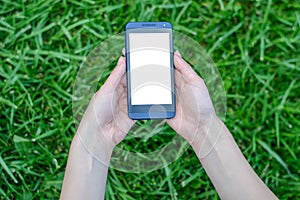 Technology and nature. Hands holding mobile phone with white blank screen over background of grass cell cellphone smart smartphone