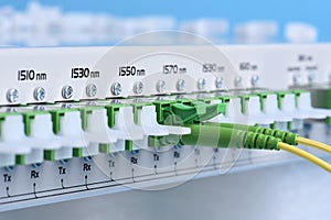 Technology network center with fiber optic equipment patch cords