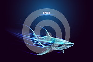 Technology Shark. High Speed Concept.