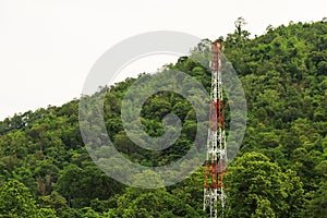 Tecnology and nature