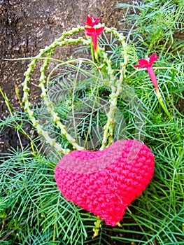 Ted heart on green vine and flower under big tree