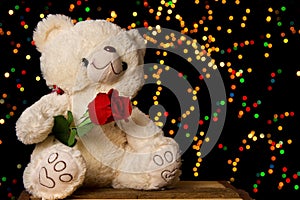 Teddie bear with white with red rose sitting photo