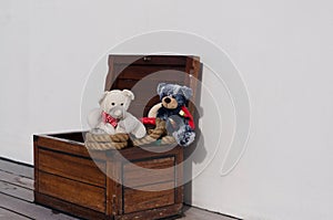 Teddies on a Cruiser