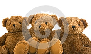 Teddies photo