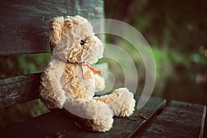 Teddy bear