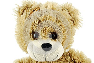 Teddy-bear