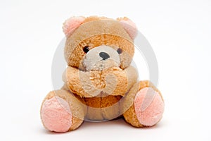 Teddy bear