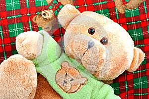 Teddy bear. img