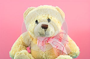 Teddy Bear 2