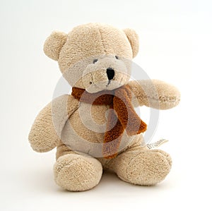 Teddy bear photo