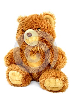 Teddy bear