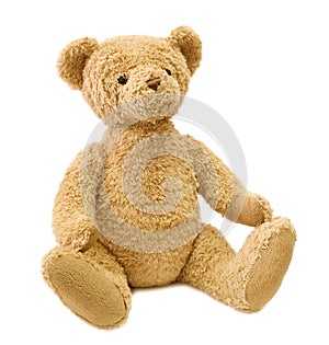 Teddy bear photo