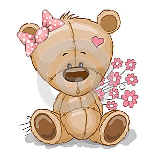 Teddy Bear