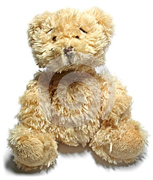 Teddy Bear