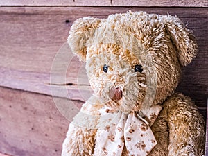 Teddy bear