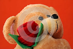 Teddy bear #6