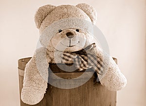 Teddy bear