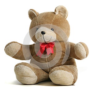 Teddy bear