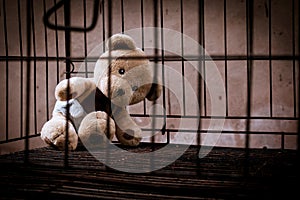 Teddy bear abandoned in jail