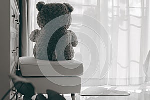 Teddy bear alone in the house with sun light and white curtain