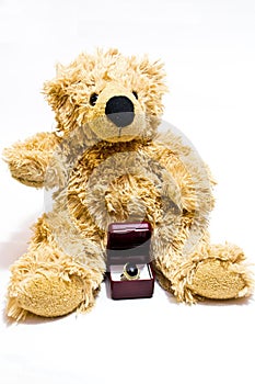 Teddy Bear asking Marry me