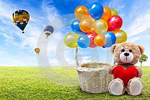 Teddy bear and balloon basket