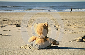 Teddy bear on the beach photo