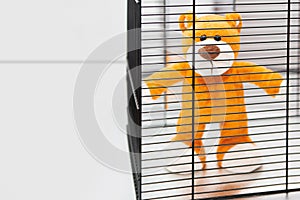 A teddy bear behind the bars of a cage. Self-isolation. Civic consciousness. Countering the virus