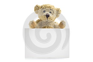 Teddy bear with blank board