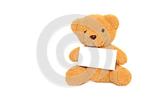 Teddy Bear with blank isolated