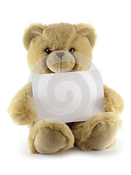 Teddy bear with blank sheet photo