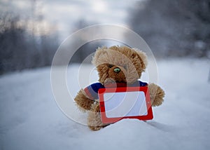 Teddy Bear in Blue Pullover Holding Blank Horizontal Frame