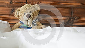 teddy bear in blue shirt on a bed