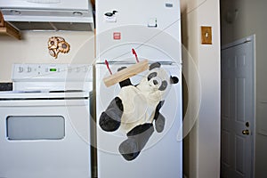 A teddy bear bravely rides a zip line across the kitchen