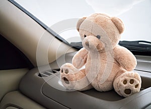 Teddy bear in car